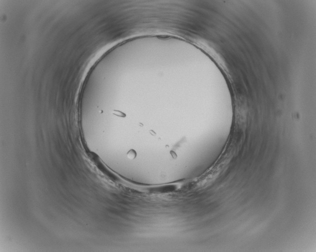 X0000070361004200606301826