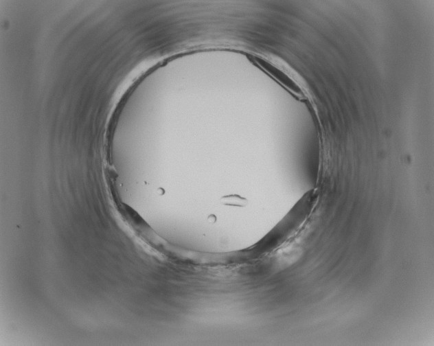 X0000070361005200606301826