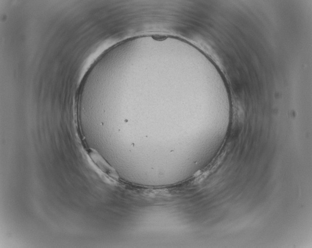 X0000070361006200606301826