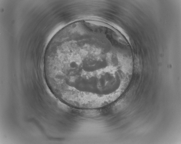 X0000070361007200606301826