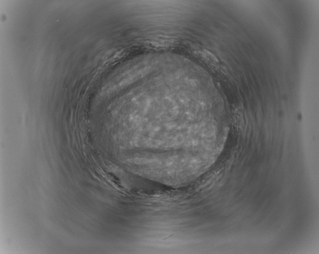 X0000070361009200606301825