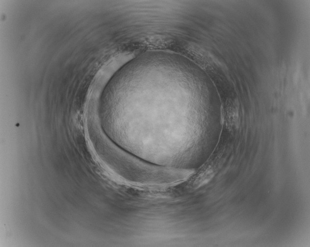 X0000070361010200606301825