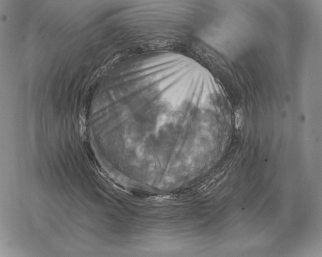 X0000070361011200606301825