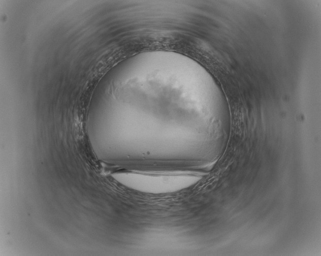 X0000070361013200606301825