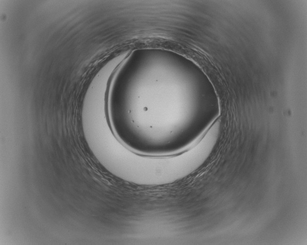 X0000070361014200606301825