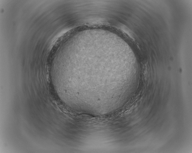 X0000070361016200606301825