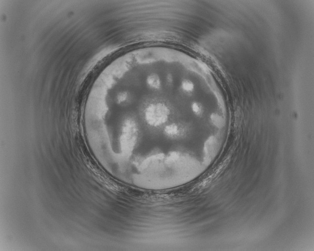 X0000070361019200606301825