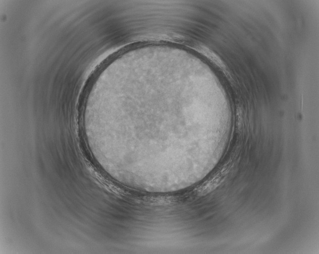 X0000070361020200606301825