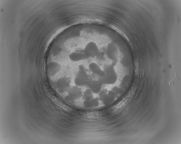 X0000070361021200606301825