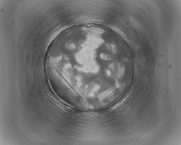 X0000070361023200606301825