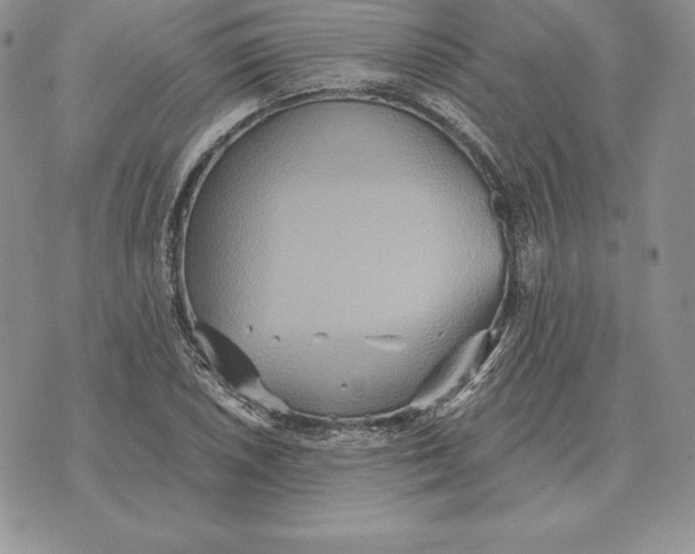 X0000070361026200606301825