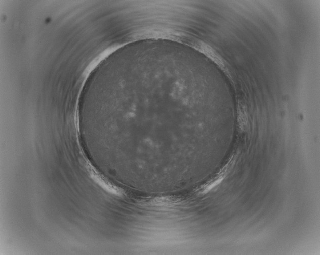 X0000070361028200606301825