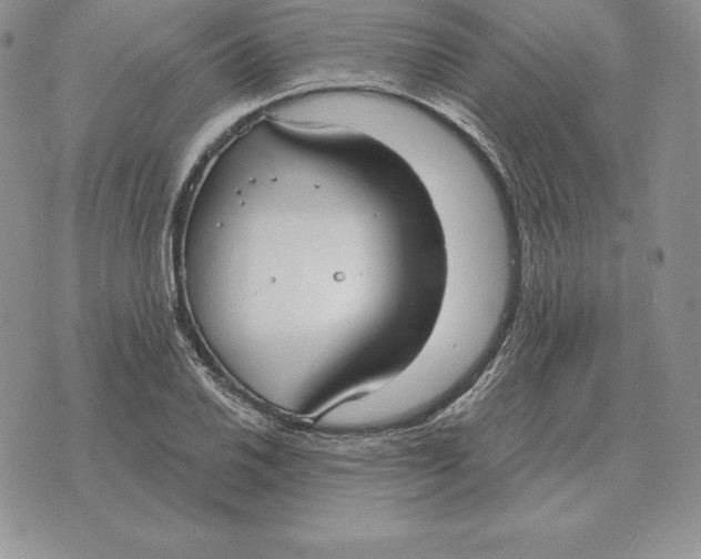 X0000070361030200606301825