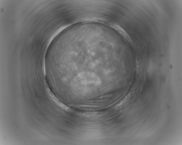 X0000070361036200606301826