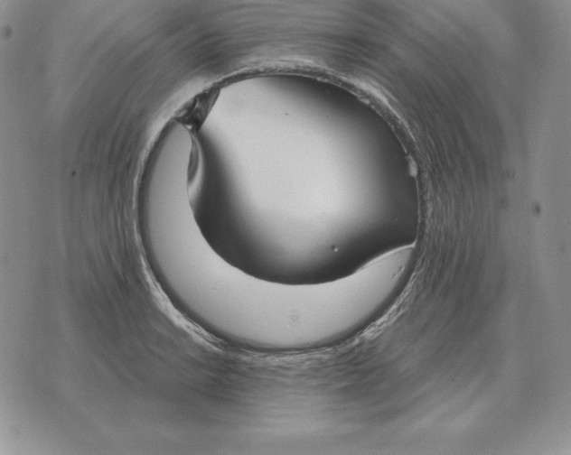 X0000070361038200606301826