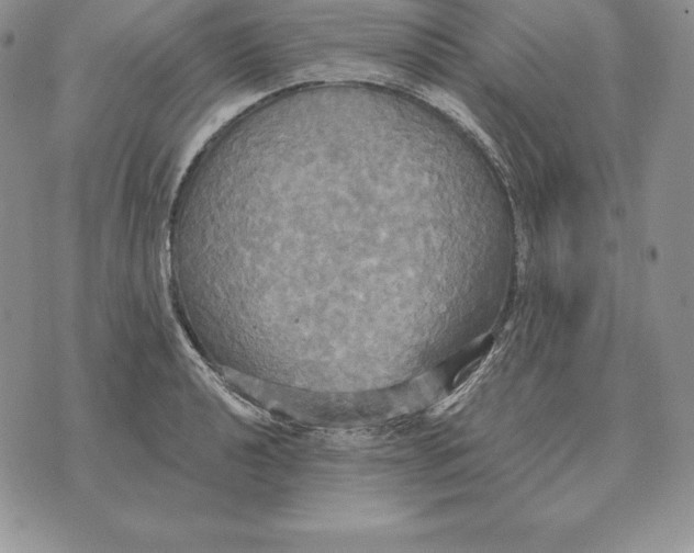 X0000070361040200606301826