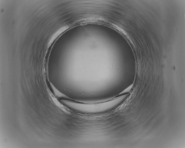 X0000070361042200606301826