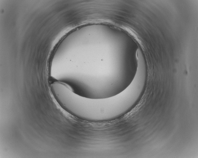 X0000070361046200606301826