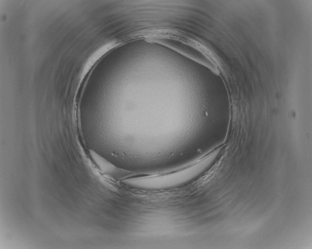 X0000070361050200606301826