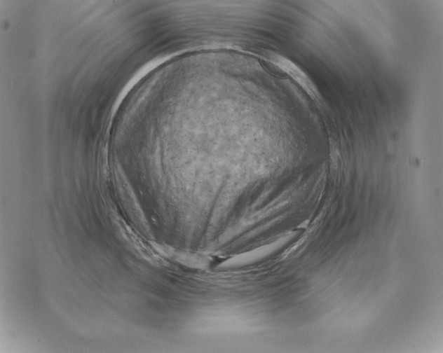 X0000070361052200606301826