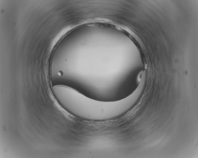 X0000070361054200606301826