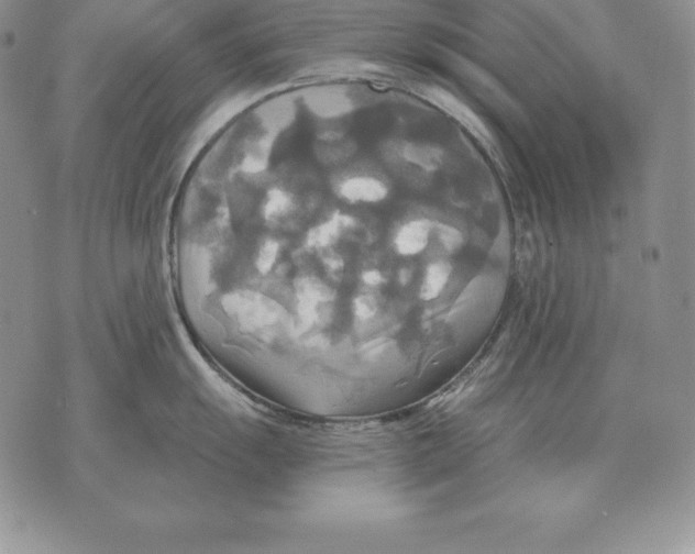 X0000070361055200606301826