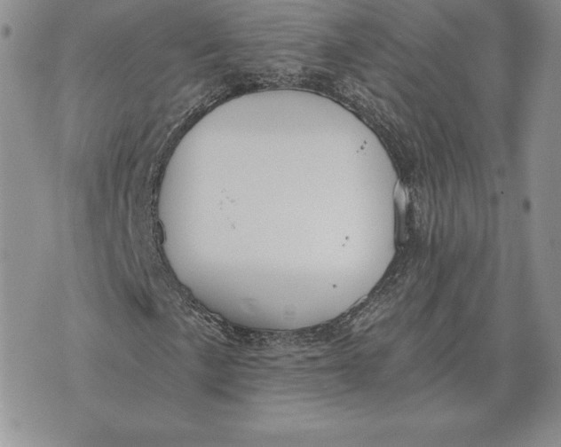 X0000070361057200606301825