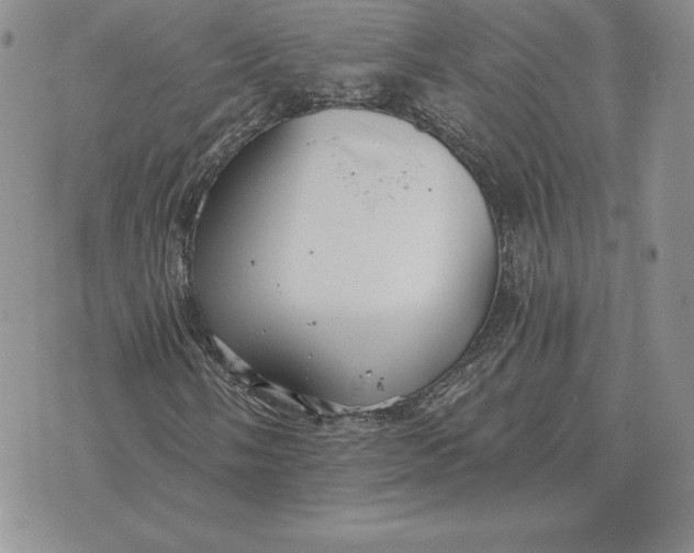 X0000070361058200606301825