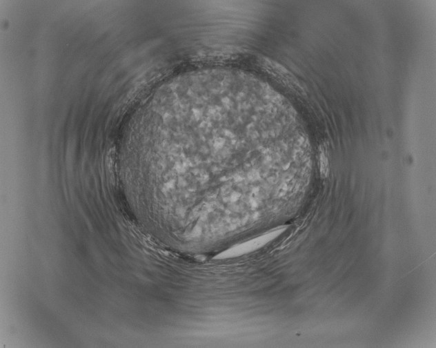 X0000070361059200606301825