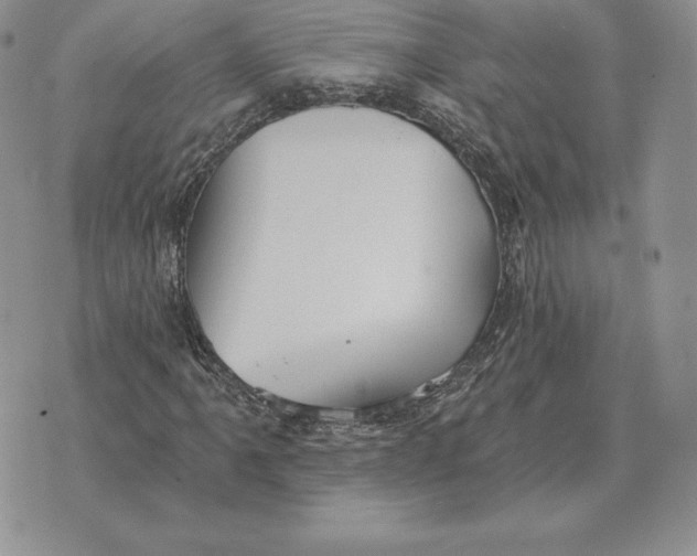 X0000070361061200606301825