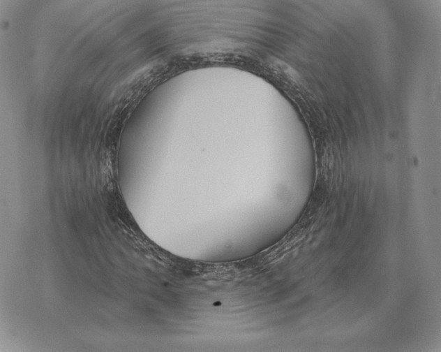 X0000070361062200606301825