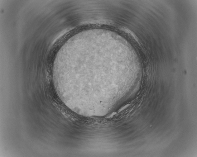 X0000070361064200606301825