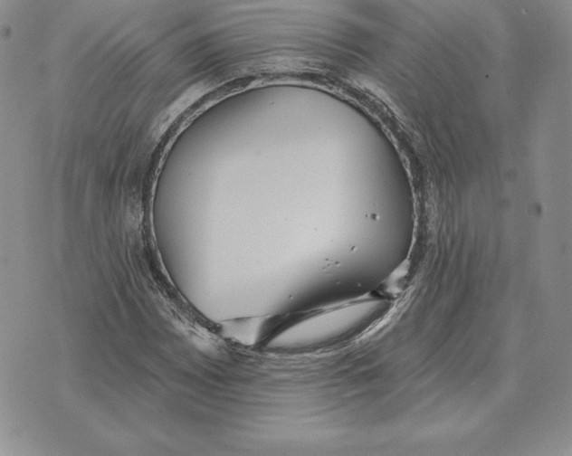 X0000070361065200606301825