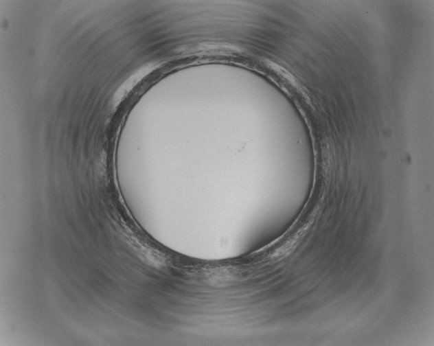 X0000070361066200606301825