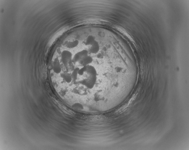 X0000070361067200606301825