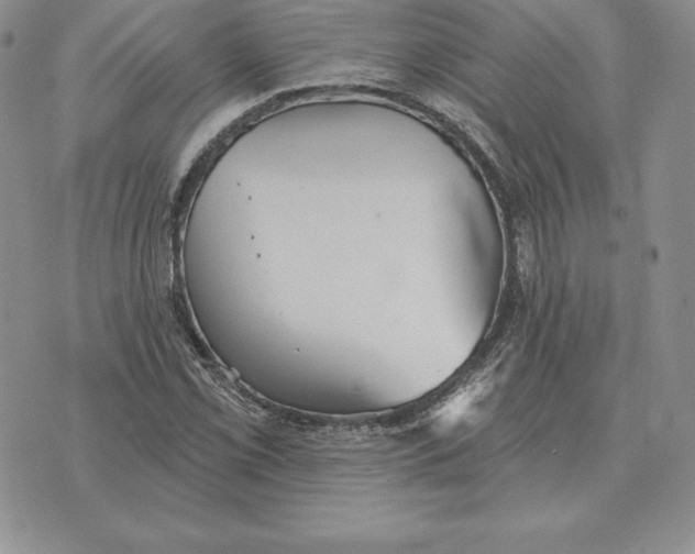 X0000070361069200606301825