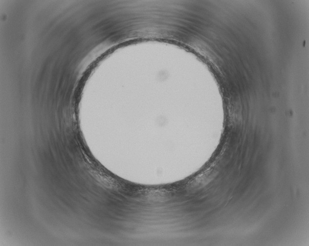 X0000070361070200606301825