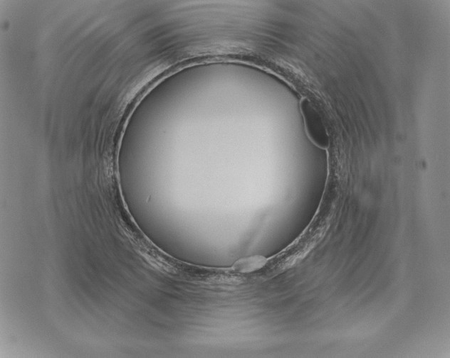 X0000070361073200606301825