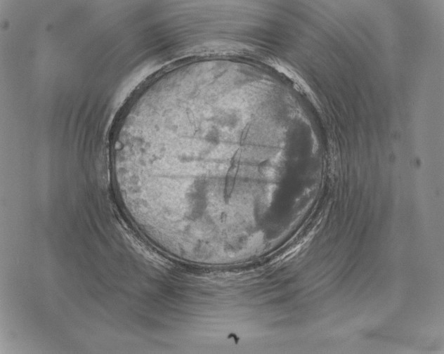 X0000070361075200606301825