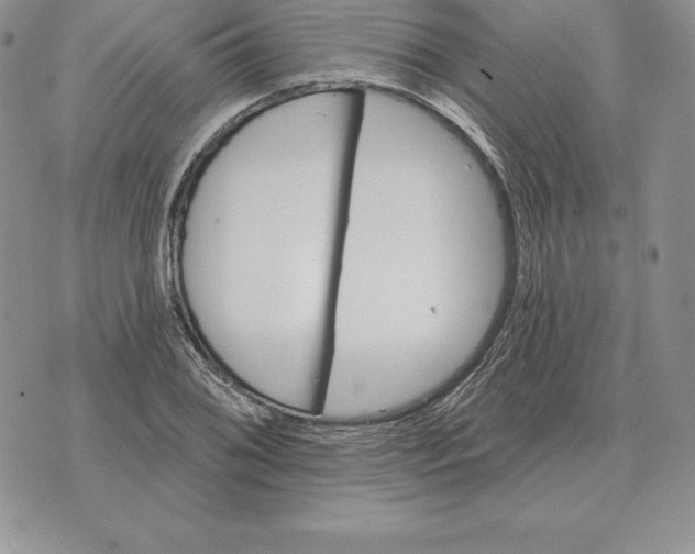 X0000070361076200606301825