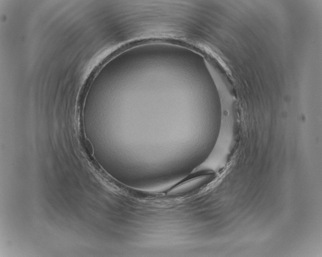 X0000070361077200606301825