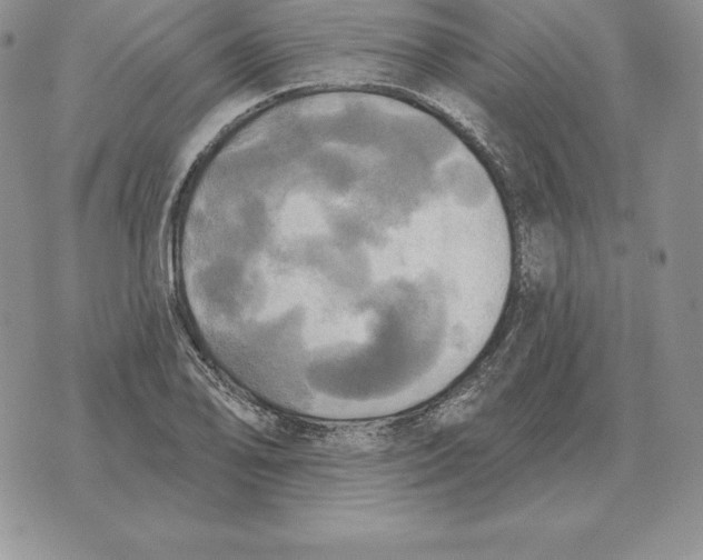 X0000070361078200606301825