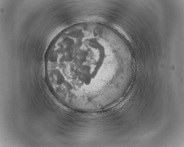 X0000070361079200606301825