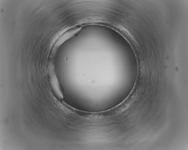 X0000070361081200606301825