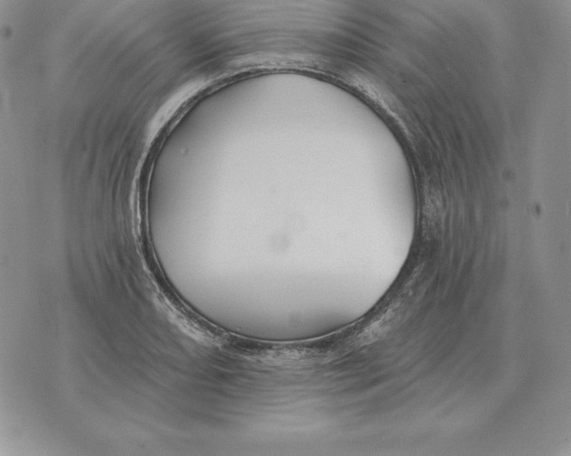 X0000070361082200606301825