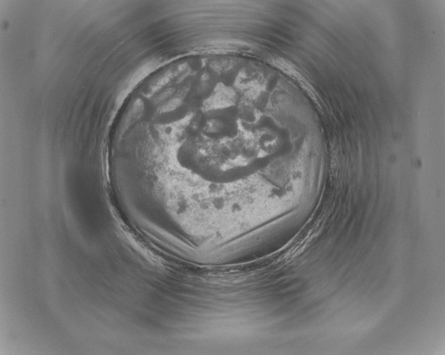 X0000070361083200606301825