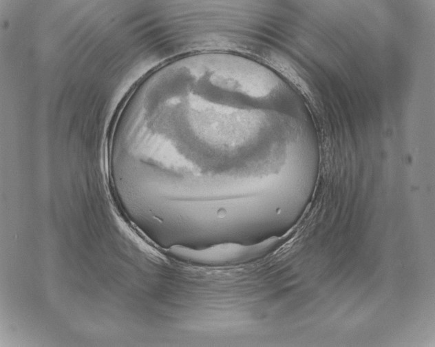 X0000070361084200606301825