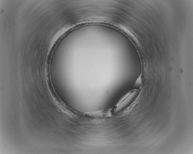 X0000070361085200606301825