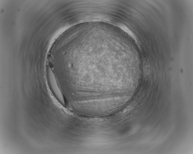 X0000070361088200606301825