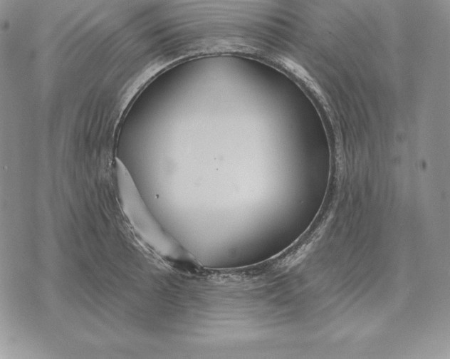 X0000070361089200606301825